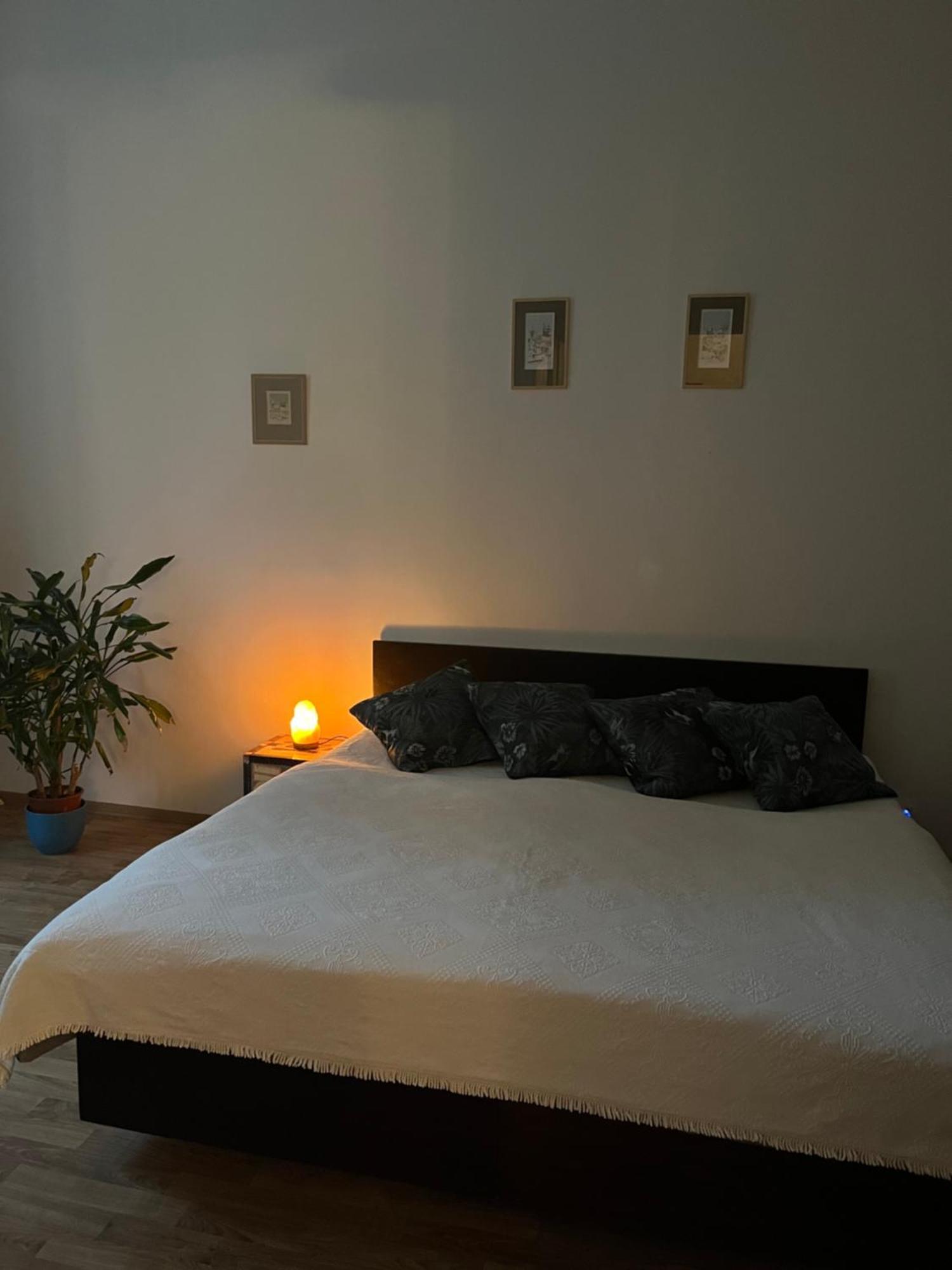 Apartament Retro In