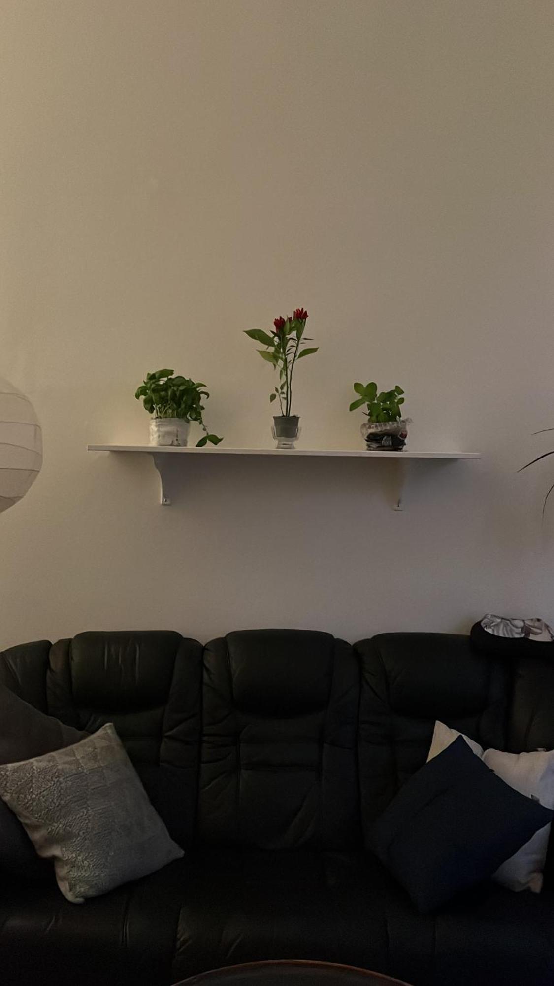 Apartament Retro In Praga